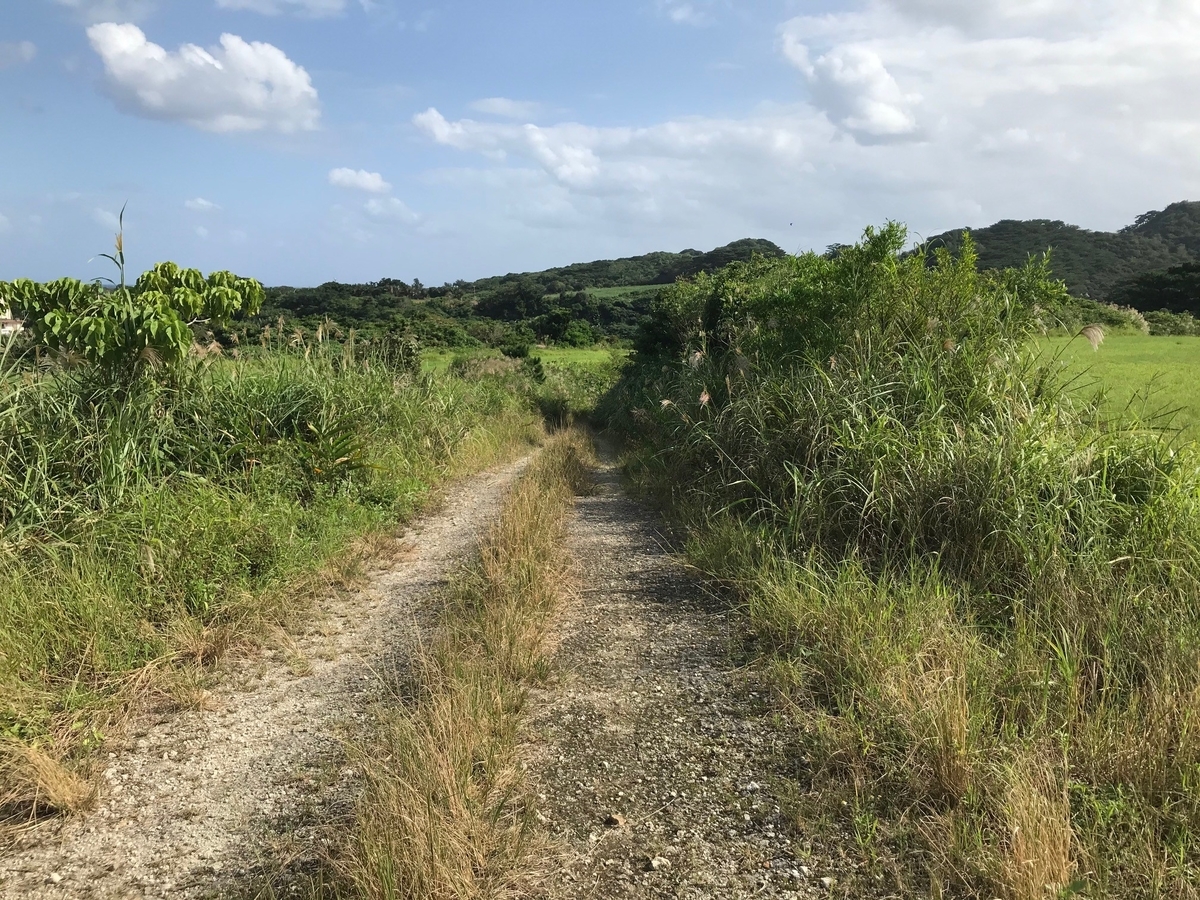 f:id:butterflyer:20201129203002j:plain