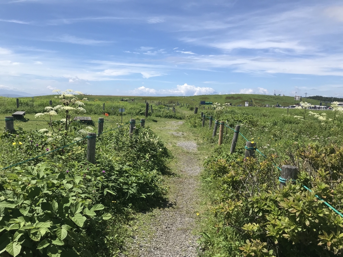 f:id:butterflyer:20201211222043j:plain