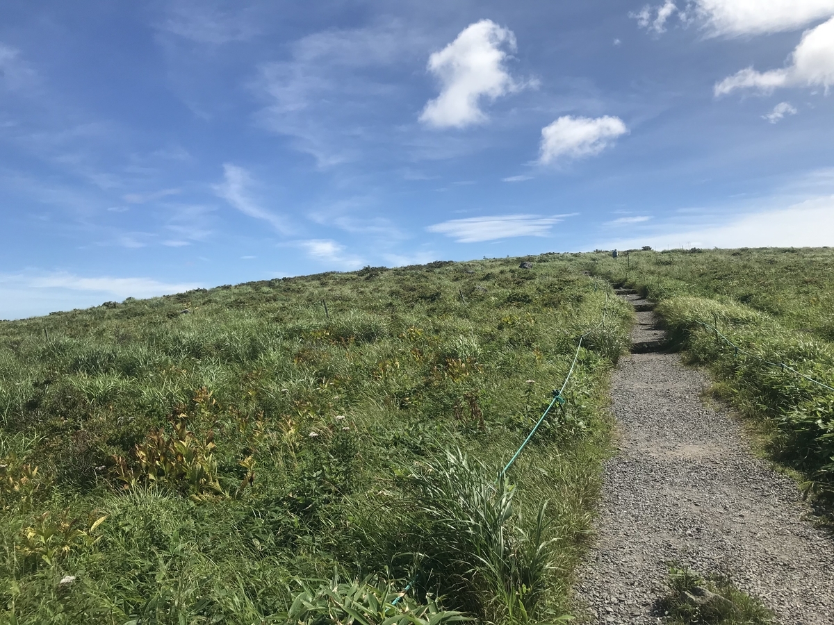 f:id:butterflyer:20201211224551j:plain