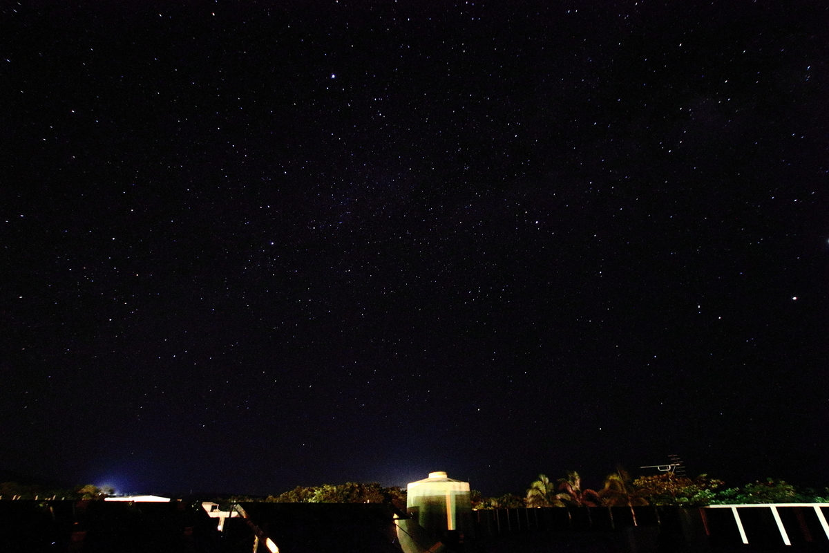 f:id:butterflyer:20201211225058j:plain