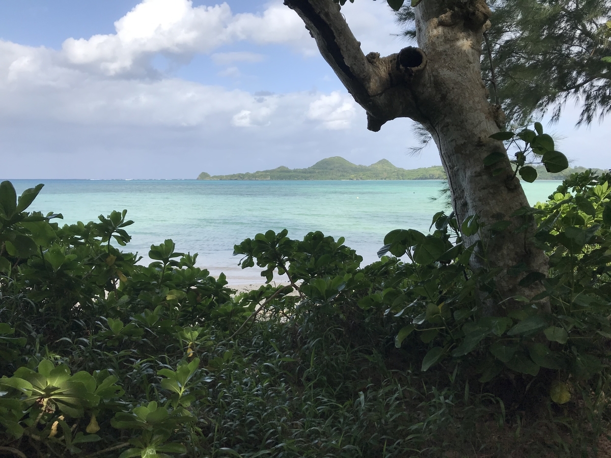 f:id:butterflyer:20201211225430j:plain