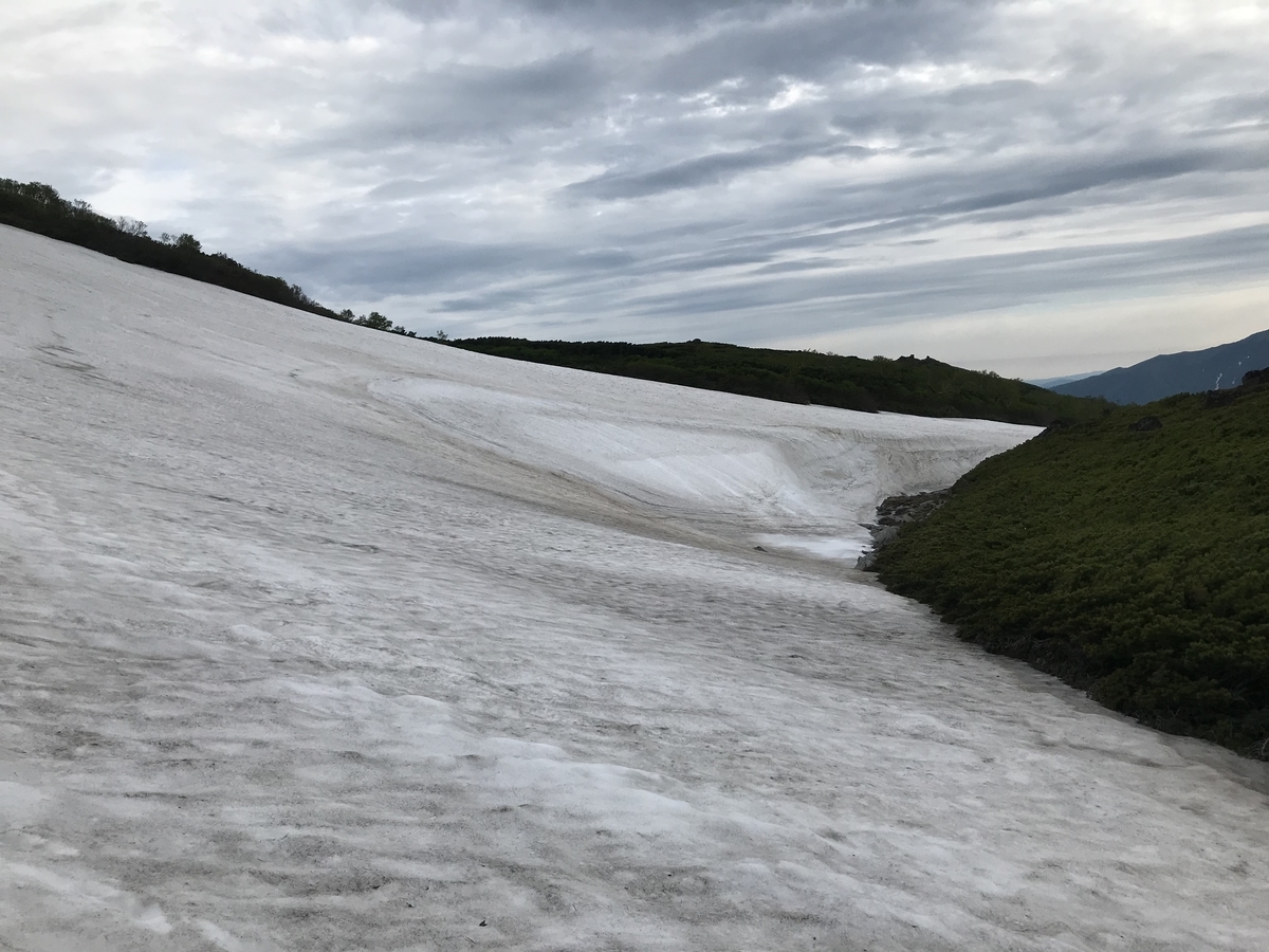 北海道2日目前半戦！！大雪山赤岳のダイセツタカネヒカゲ