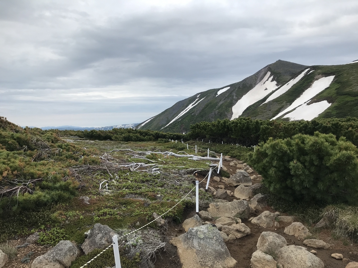 北海道2日目前半戦！！大雪山赤岳のダイセツタカネヒカゲ