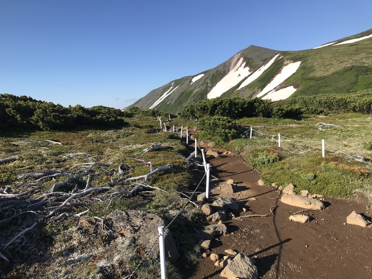 f:id:butterflyer:20210705202044j:plain