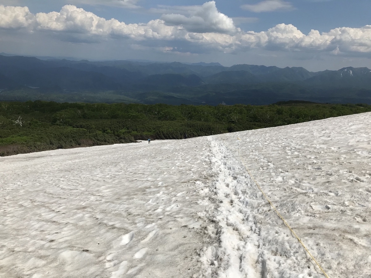 f:id:butterflyer:20210705202121j:plain