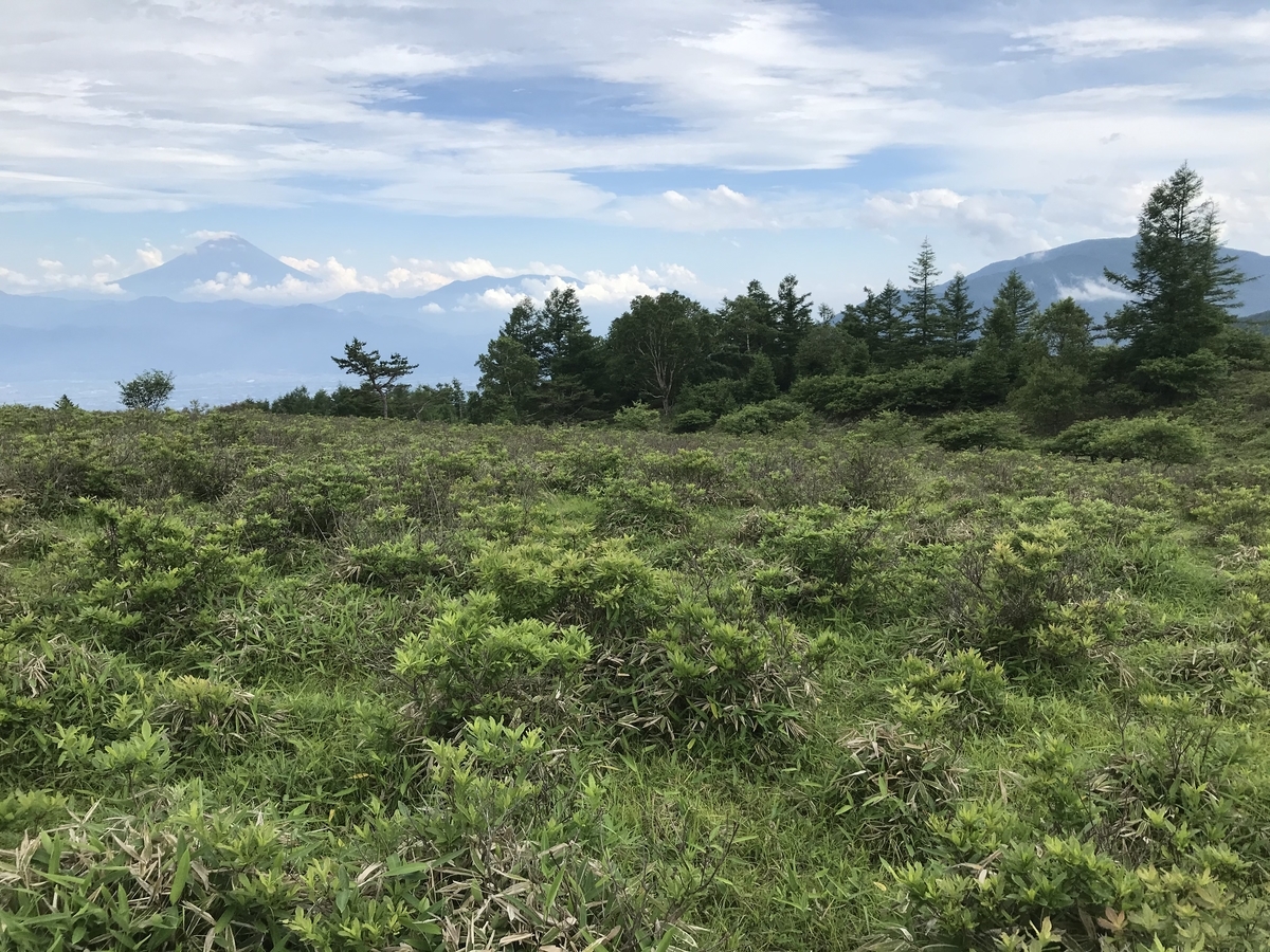 f:id:butterflyer:20210718173106j:plain