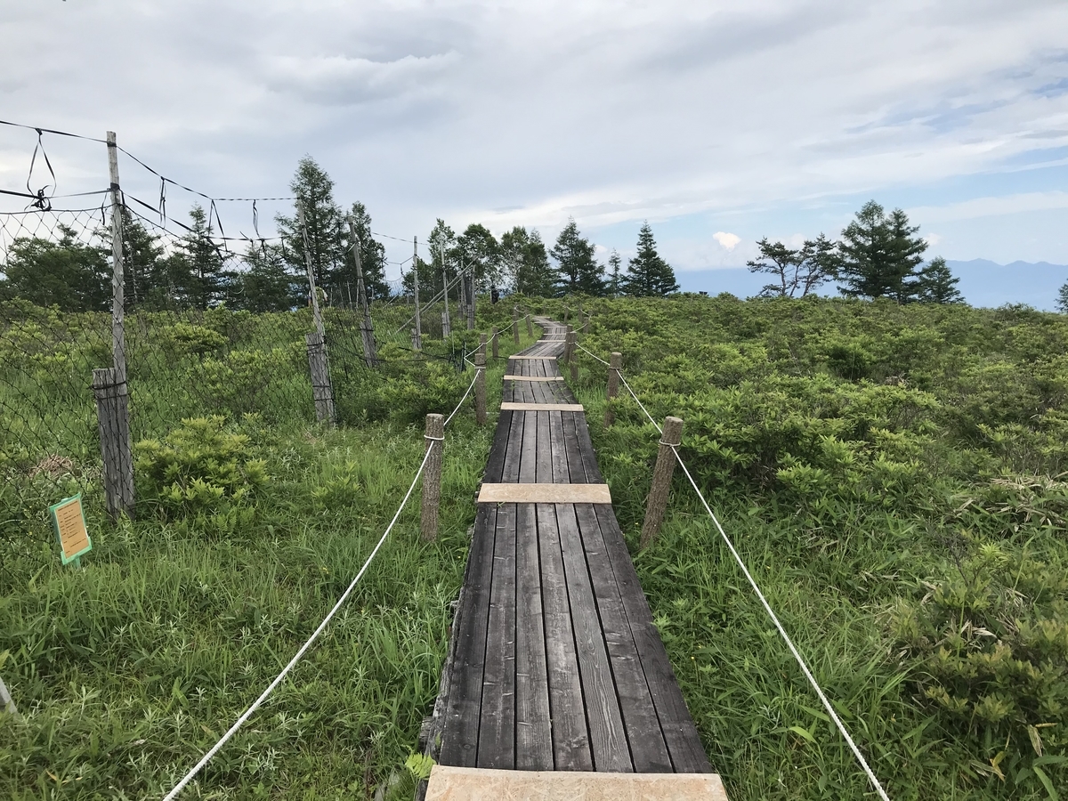 f:id:butterflyer:20210718173128j:plain