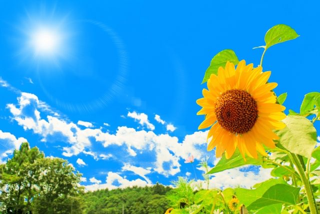 f:id:butterflyman66:20190422135323p:plain f:id:butterflyman66:20190422135323p:plain