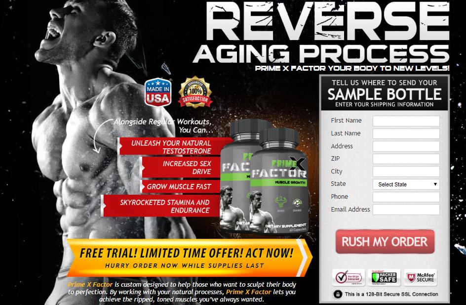 f:id:butthamad814gmailcom:20200210211311j:plain f:id:butthamad814gmailcom:20200210211311j:plain