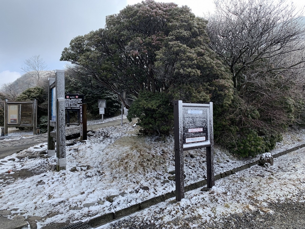 f:id:butyouare:20190611012245j:plain