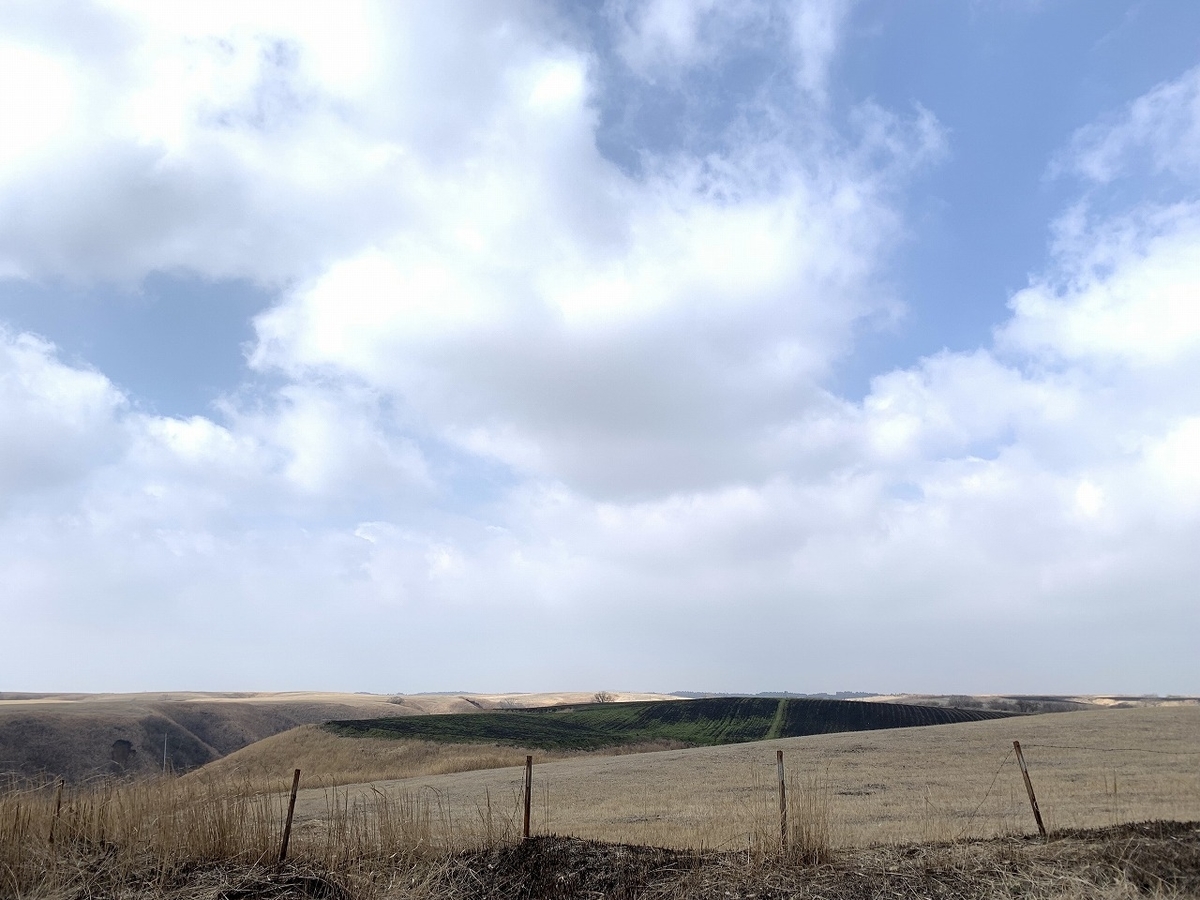 f:id:butyouare:20190611012303j:plain
