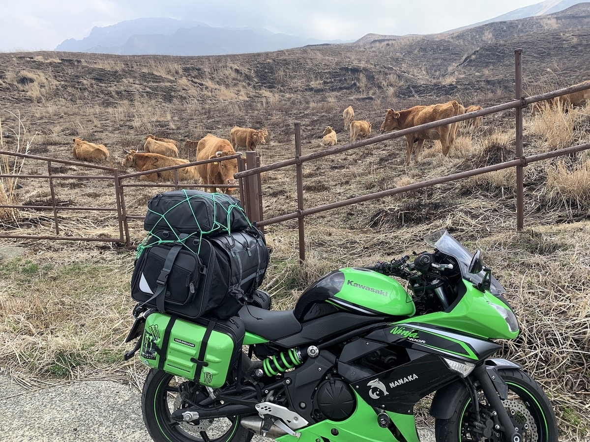 f:id:butyouare:20190611012345j:plain