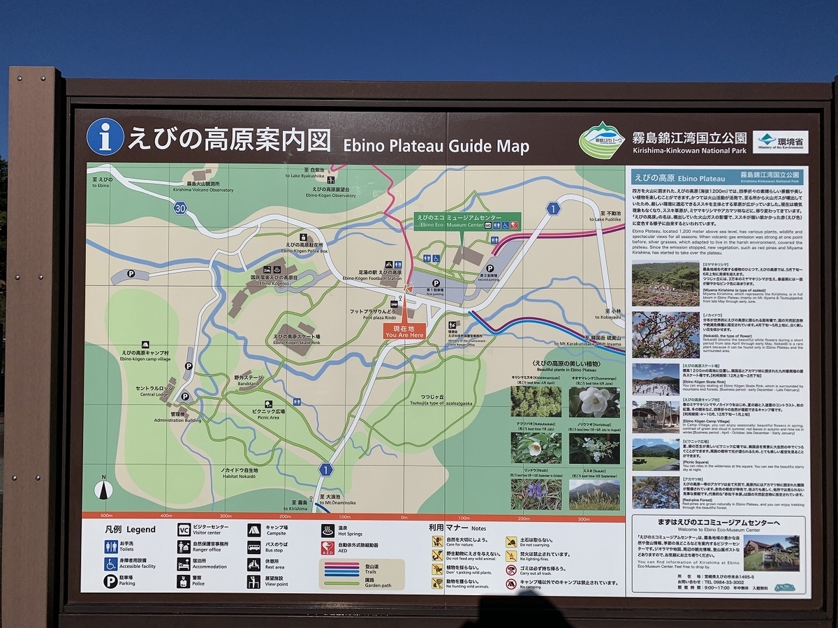 f:id:butyouare:20190611012537j:plain