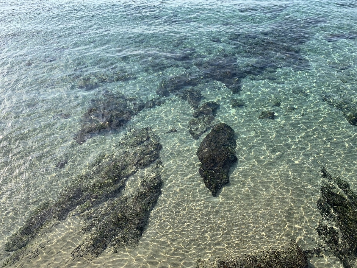 f:id:butyouare:20190611012731j:plain