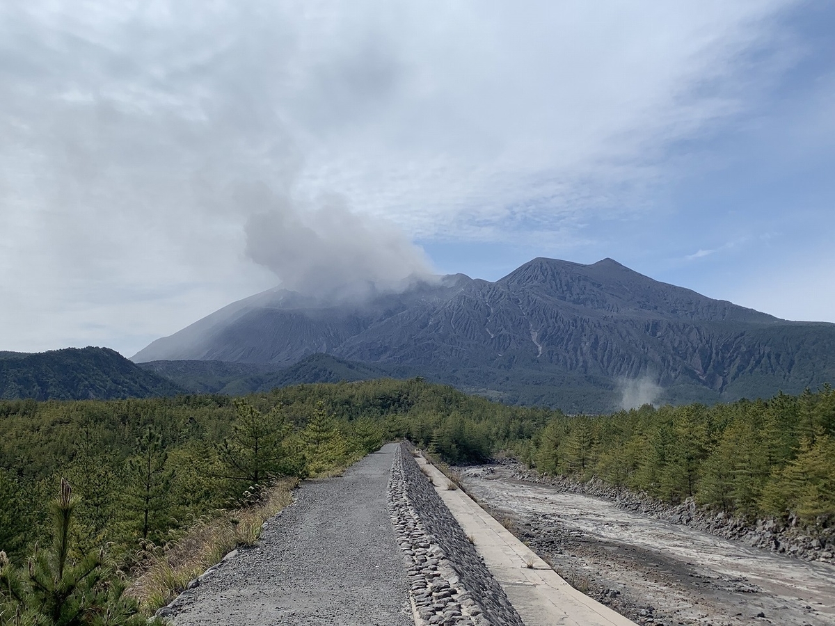 f:id:butyouare:20190611012820j:plain