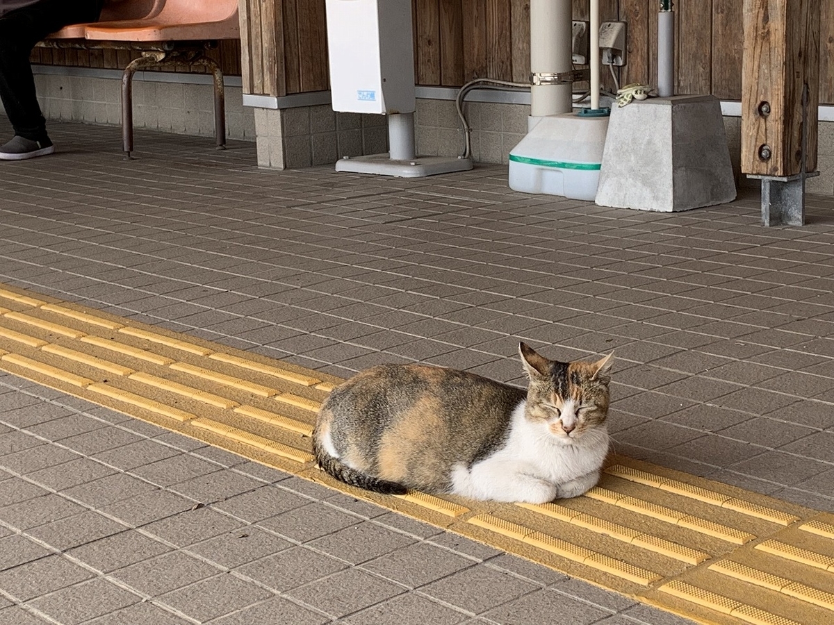 f:id:butyouare:20190611013153j:plain