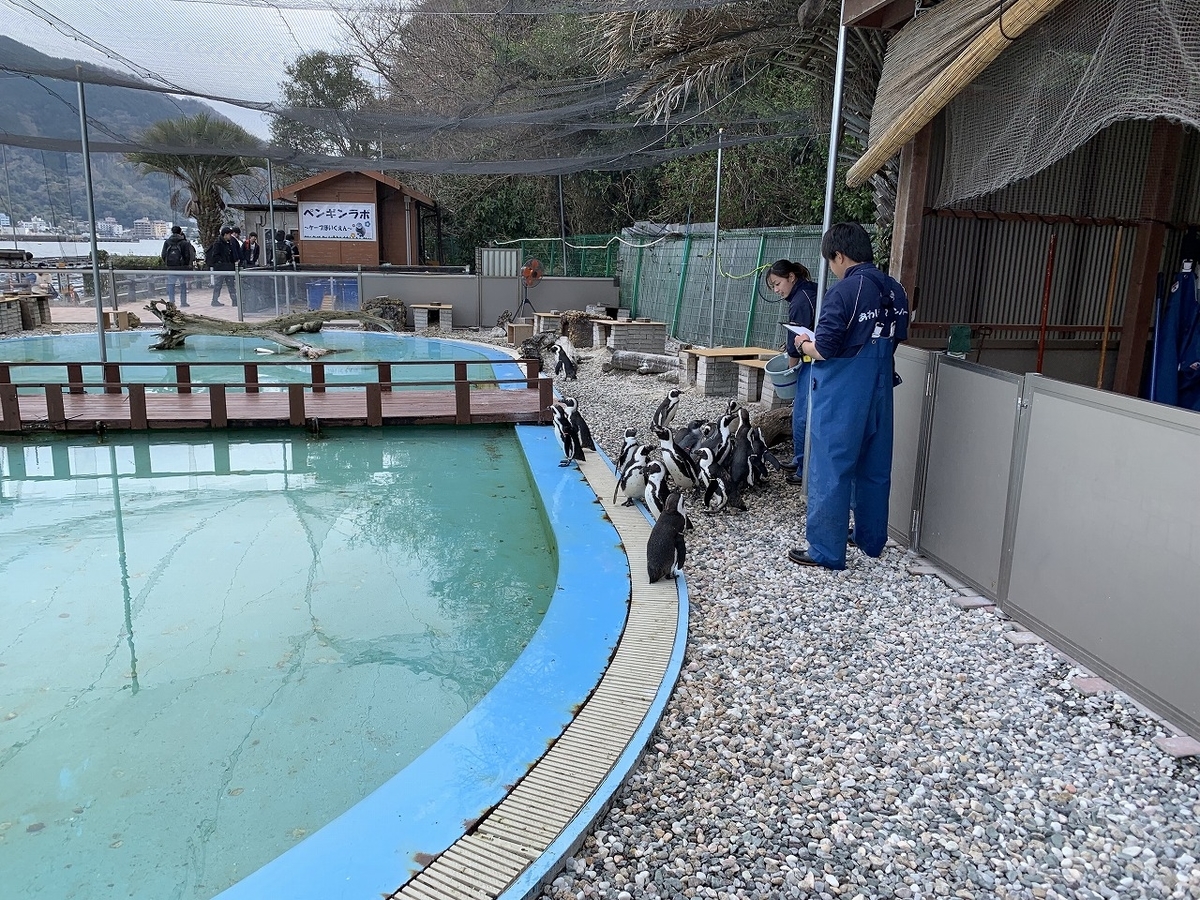 f:id:butyouare:20190611013708j:plain