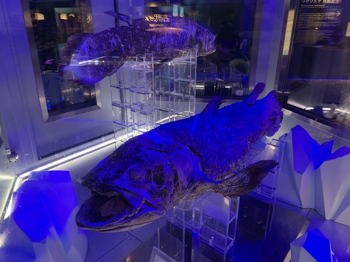 f:id:butyouare:20190611013715j:plain