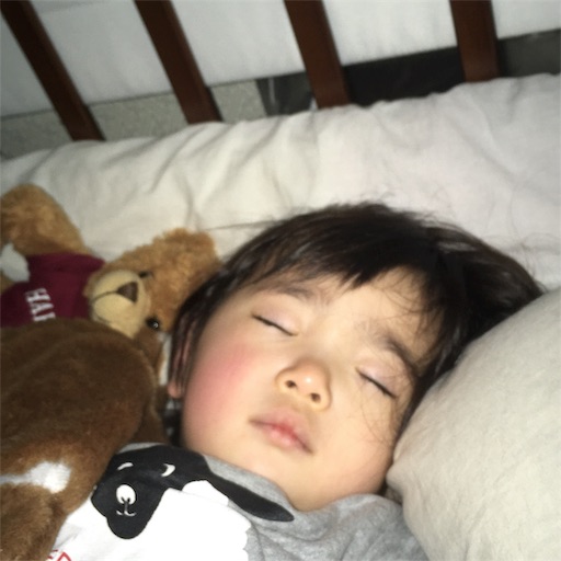 f:id:buubuubuu:20190210005226j:image