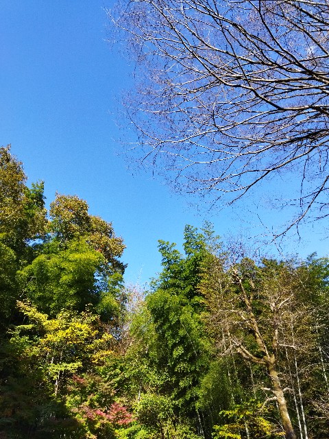 f:id:buulog:20211205080622j:image
