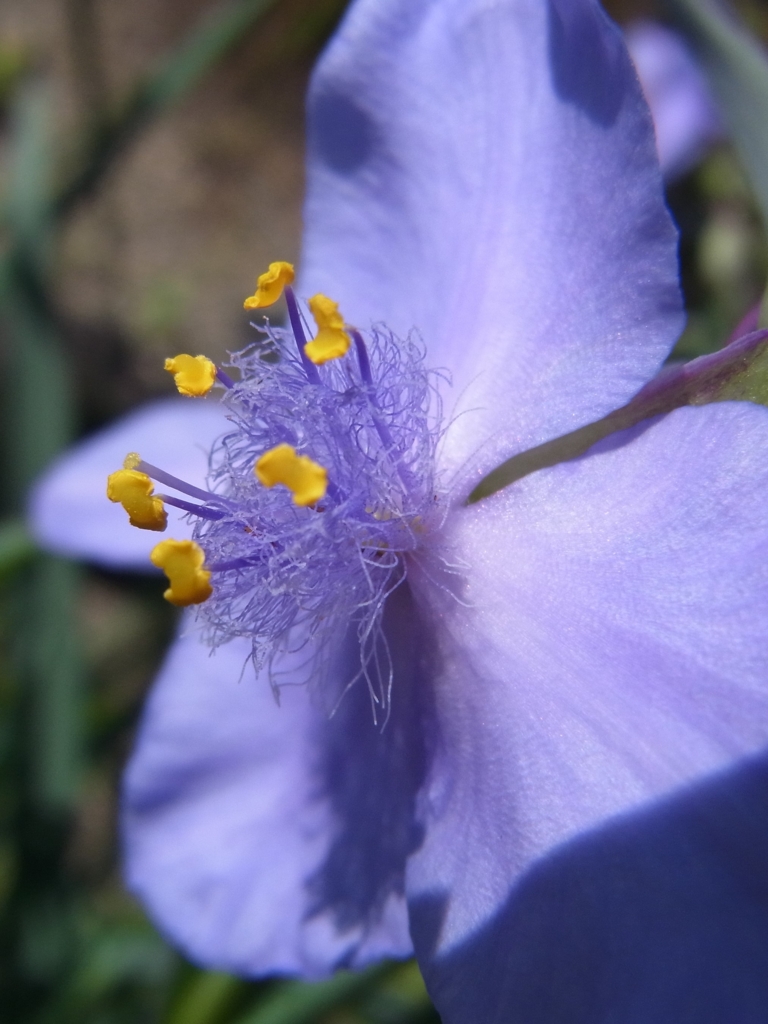 f:id:buunanome:20160515121446j:plain