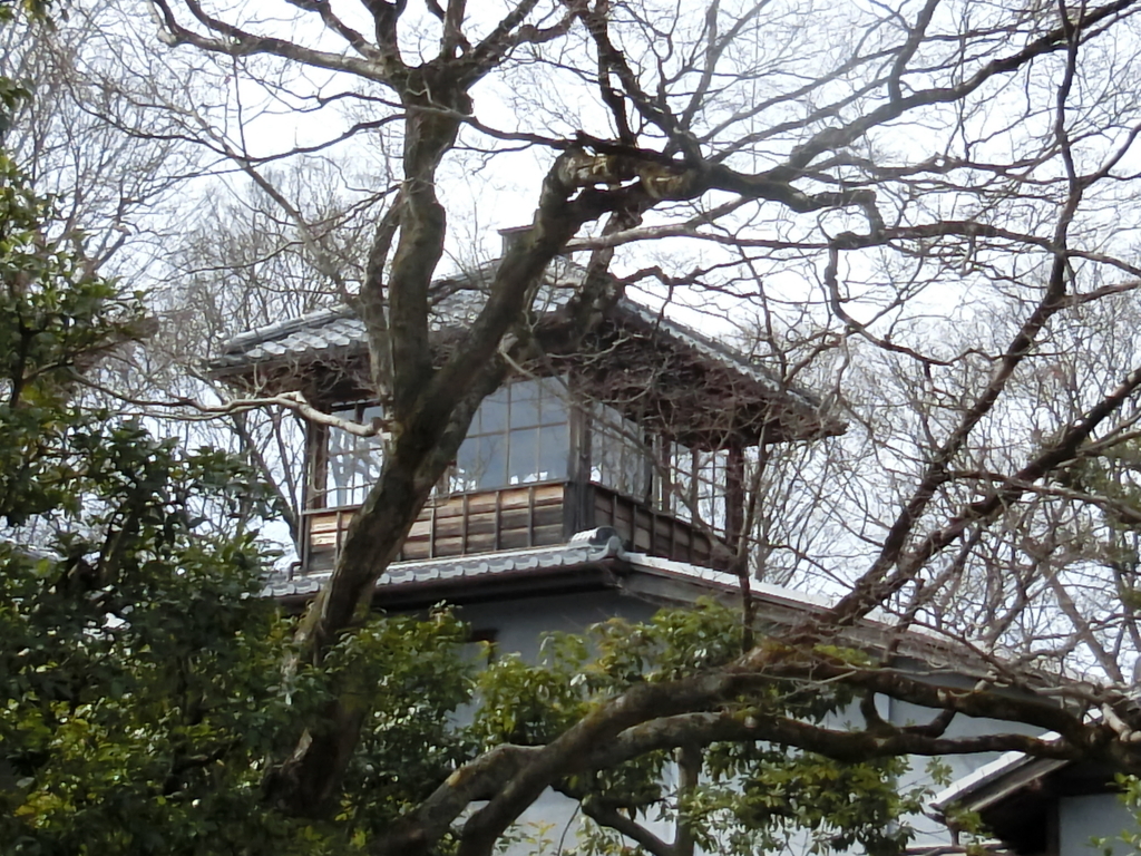 f:id:buunanome:20180303161132j:plain f:id:buunanome:20180303161132j:plain