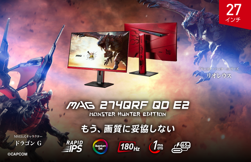 MAG 274QRF QD E2 MONSTER HUNTER EDITION メイン画像
