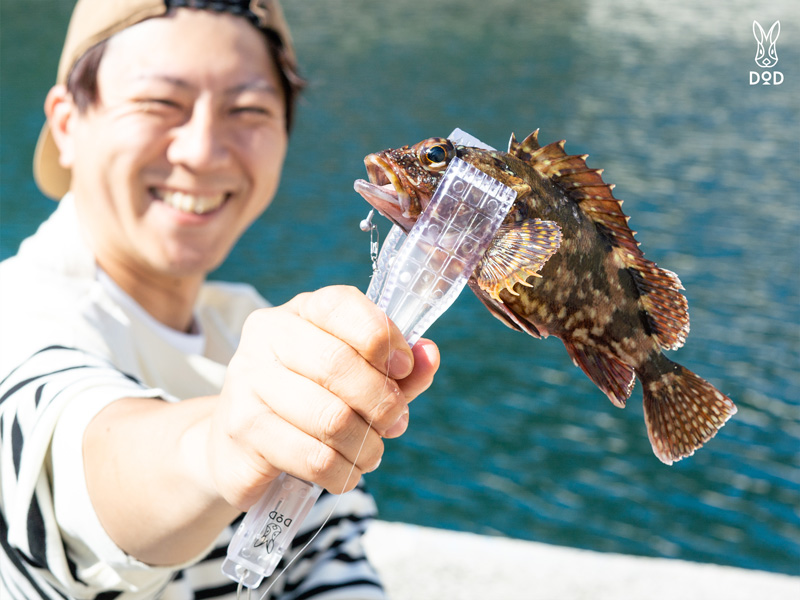 スケスケギョギョーン