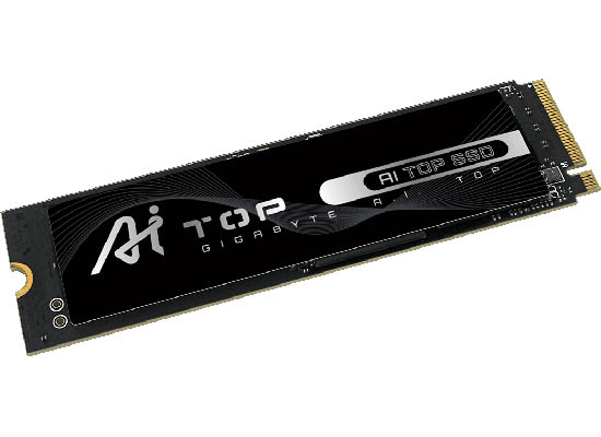 AI100E320GB