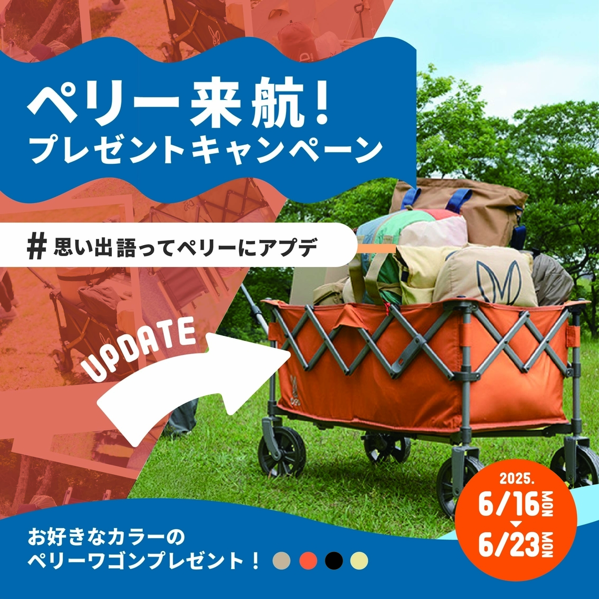 キャンペーン