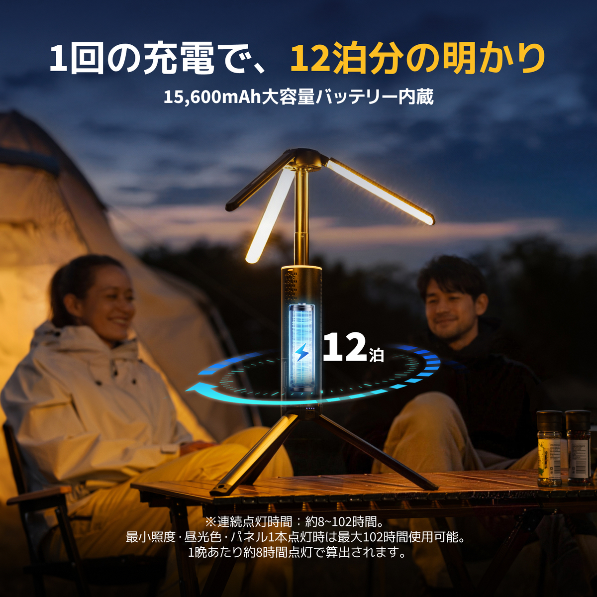 12泊無充電