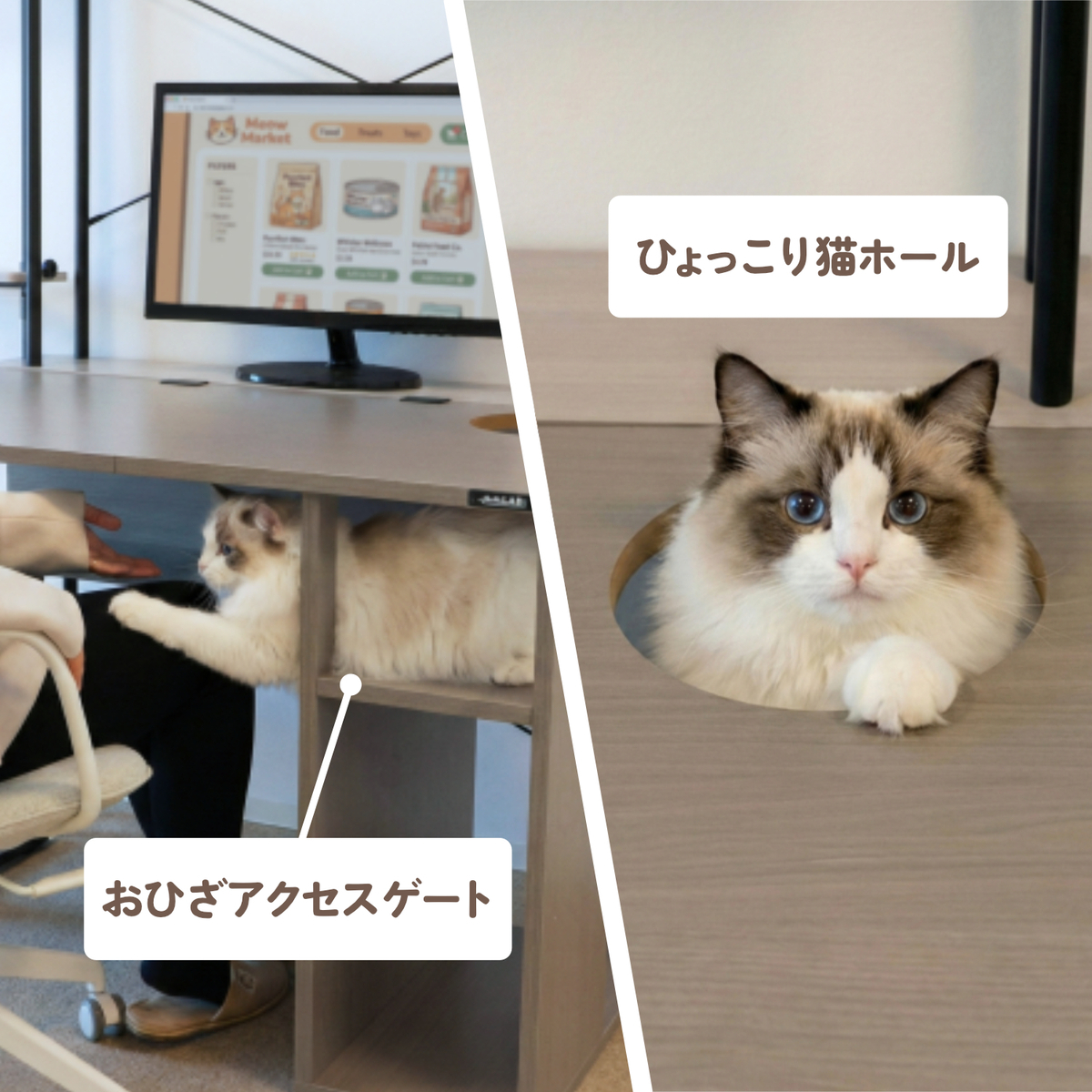 にゃんギミック 02