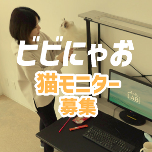 猫モニター