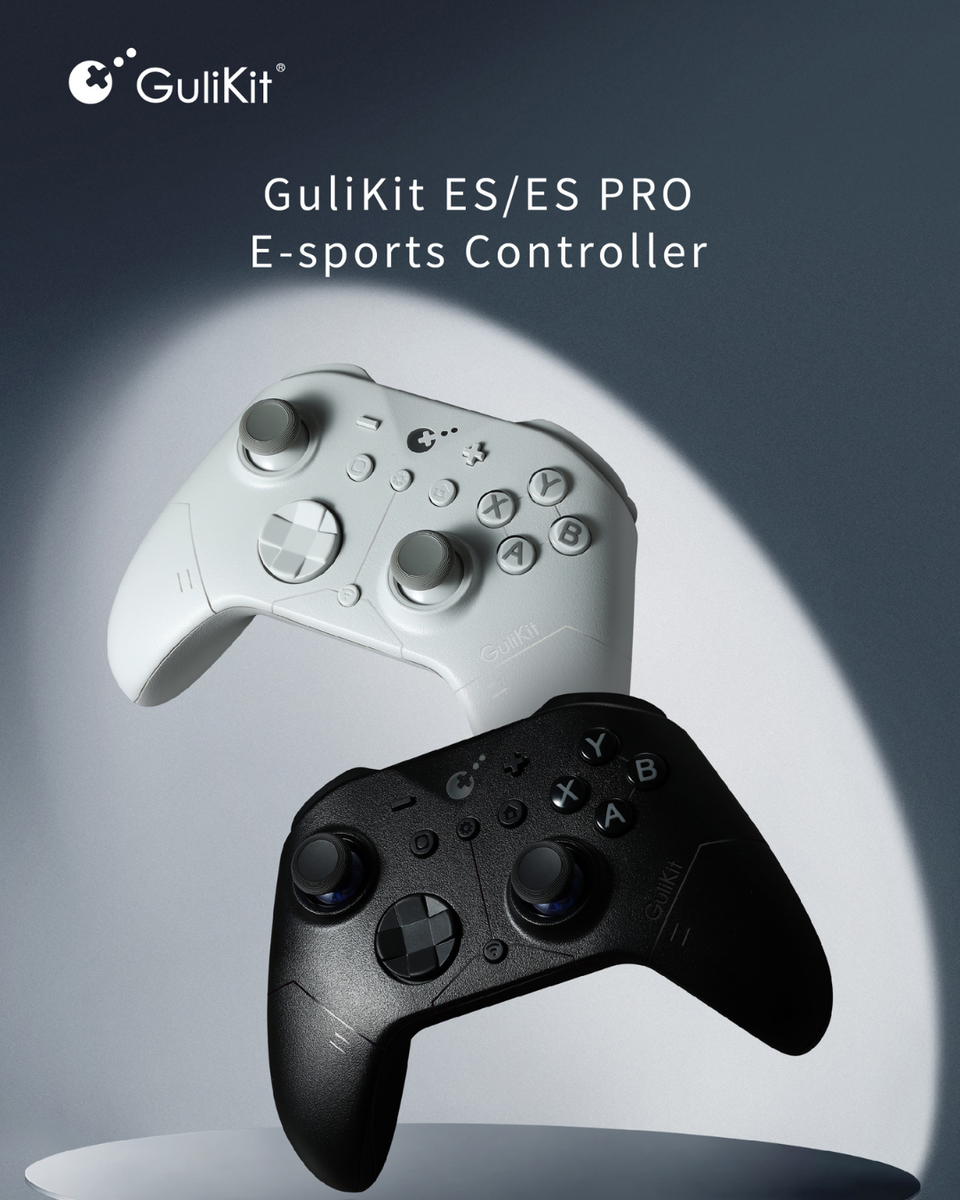 GuliKit ES／ES PROコントローラー