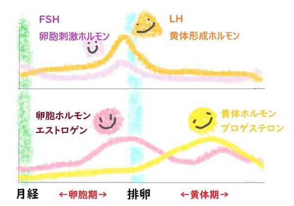 f:id:buuuyan:20201109215816j:plain