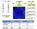 20120113041734