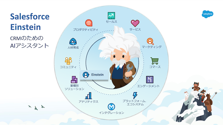 Salesfoece Einstein