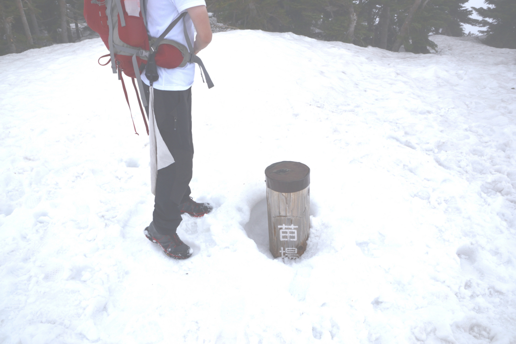 f:id:bwsj:20170528220118j:plain