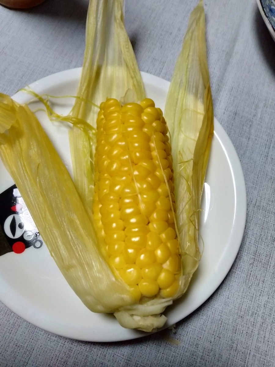 f:id:bwv227:20190718204826j:plain f:id:bwv227:20190718204826j:plain