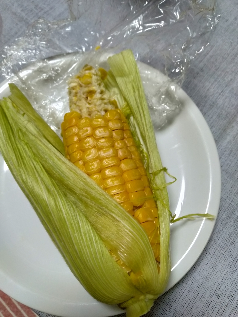 f:id:bwv227:20190718204828j:plain f:id:bwv227:20190718204828j:plain