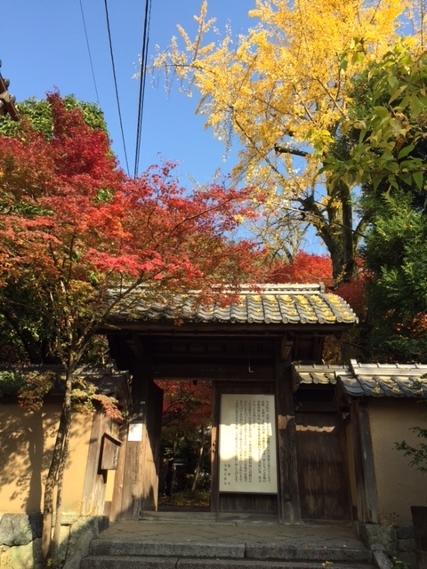 f:id:bx9w4hedch8:20171115183224j:plain
