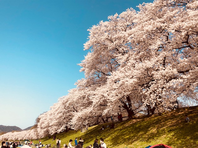 f:id:bx9w4hedch8:20180401230503j:plain f:id:bx9w4hedch8:20180401230503j:plain