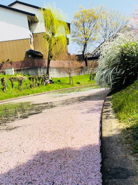 f:id:bx9w4hedch8:20180401234022j:plain f:id:bx9w4hedch8:20180401234022j:plain