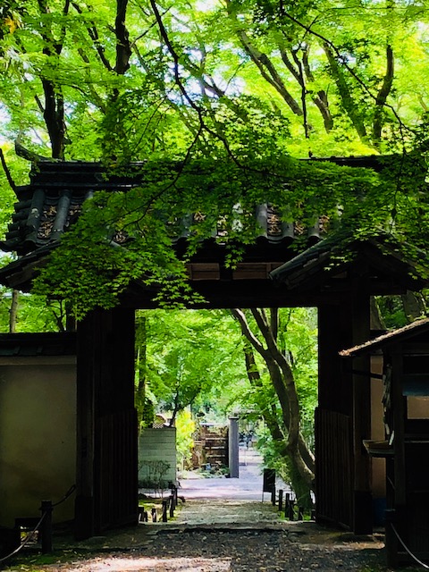 f:id:bx9w4hedch8:20180422223912j:plain f:id:bx9w4hedch8:20180422223912j:plain