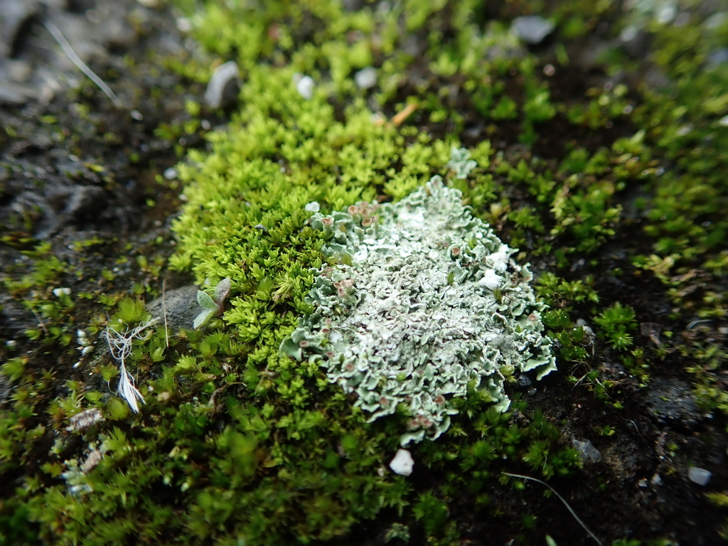 f:id:by-unknown:20181126204617j:plain f:id:by-unknown:20181126204617j:plain