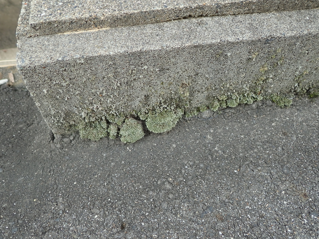 f:id:by-unknown:20181127221403j:plain f:id:by-unknown:20181127221403j:plain