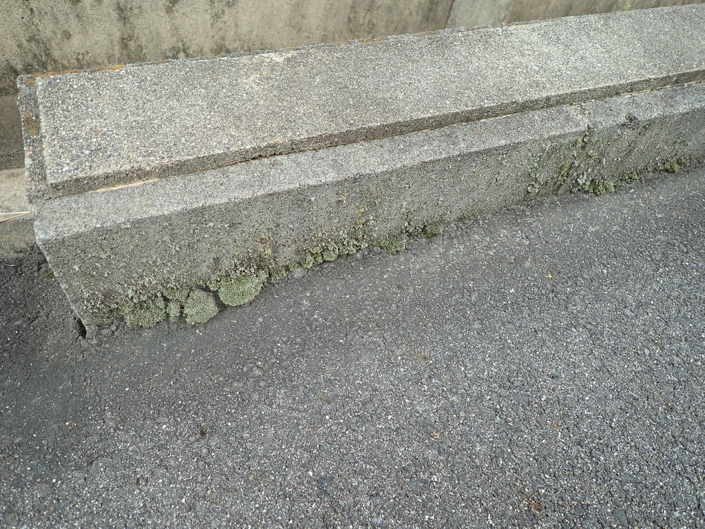 f:id:by-unknown:20181127221418j:plain f:id:by-unknown:20181127221418j:plain