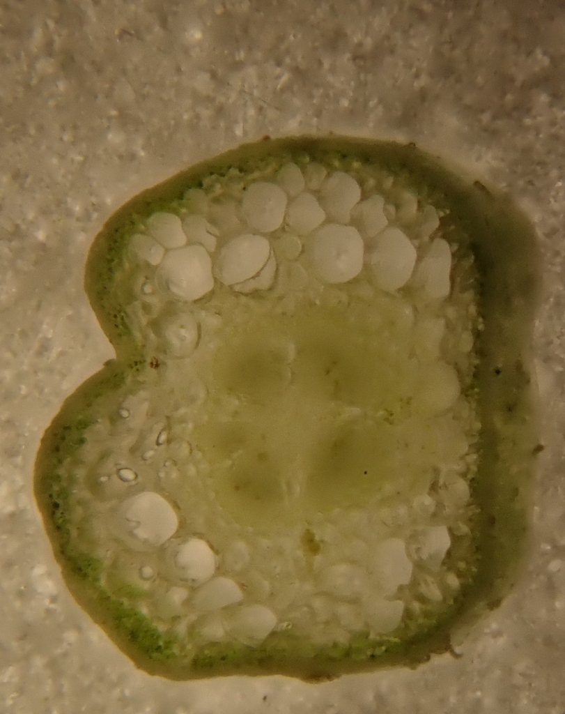 f:id:by-unknown:20181201213850j:plain f:id:by-unknown:20181201213850j:plain