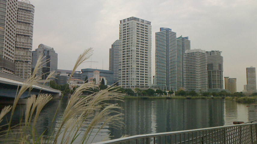 f:id:byHARU:20201003211431j:plain f:id:byHARU:20201003211431j:plain