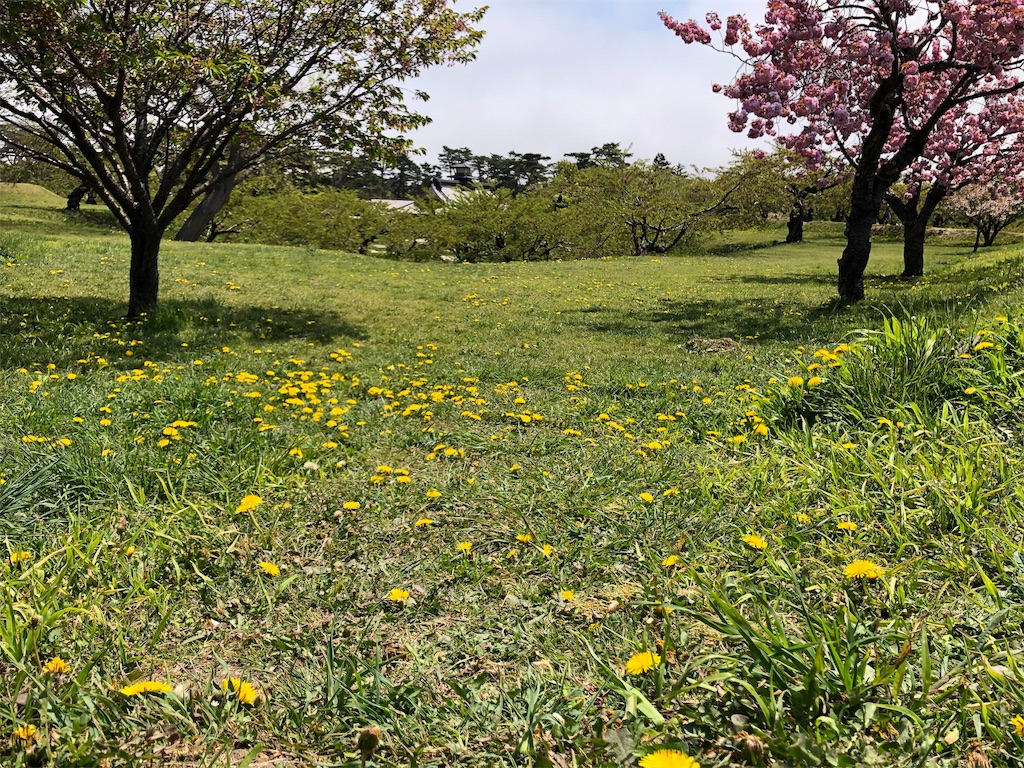 f:id:by_nagi:20190516222031j:image f:id:by_nagi:20190516222031j:image